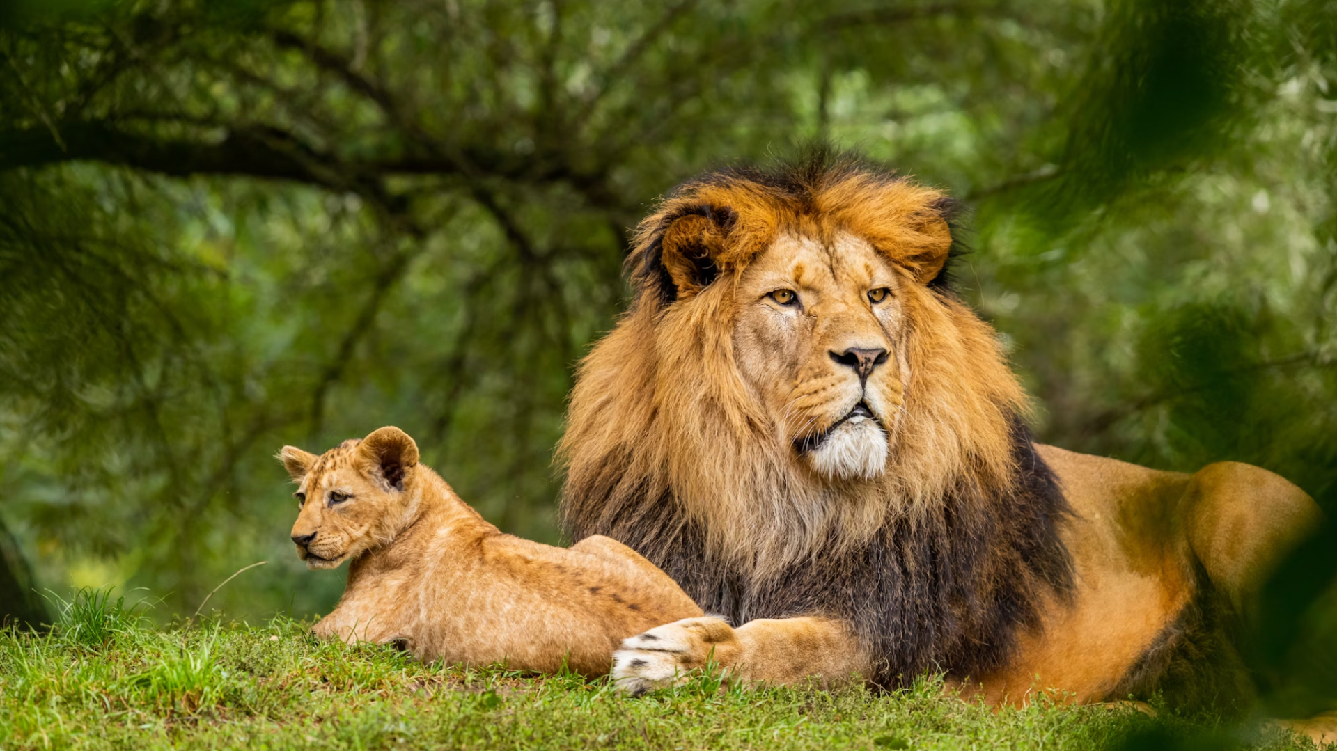 What Kenya's Rangers Face Daily in the Fight Against Poaching